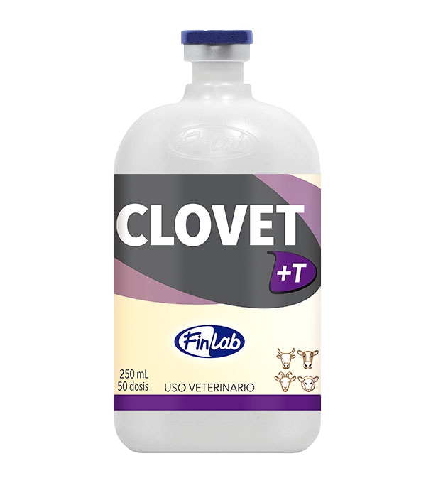 Clovet T