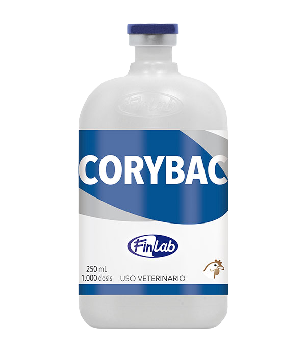corybac Corybac