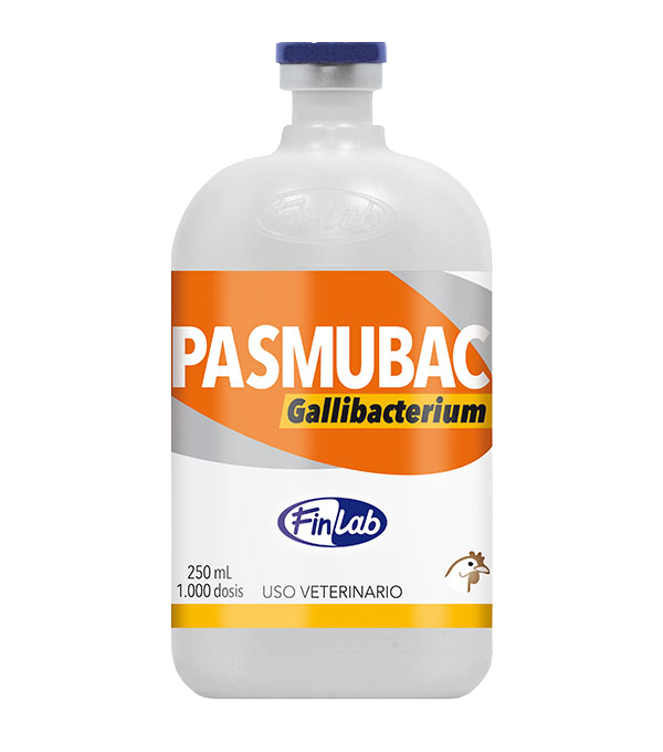 pasmubac-gallibacterium Pasmubac Gallibacterium