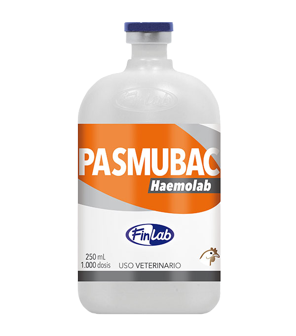 pasmubac-haemolab Pasmubac Haemolab