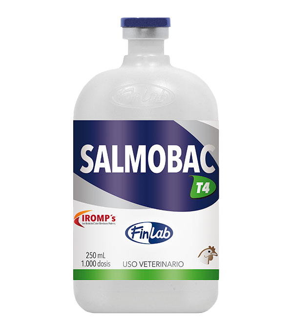 salmobac-t4 Salmobac T4