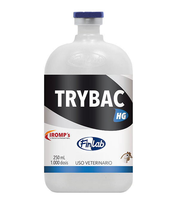 trybac_hg Trybac HG