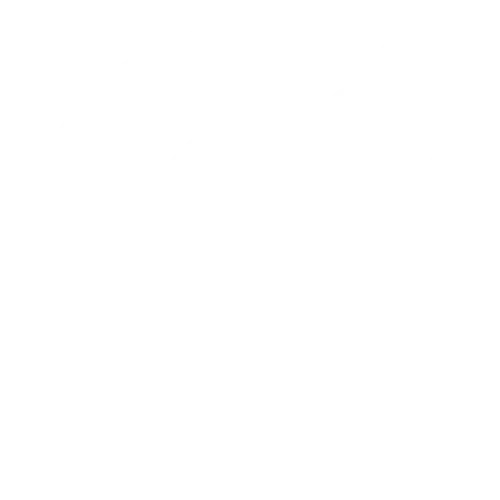 Icono nuevo distribuidor
