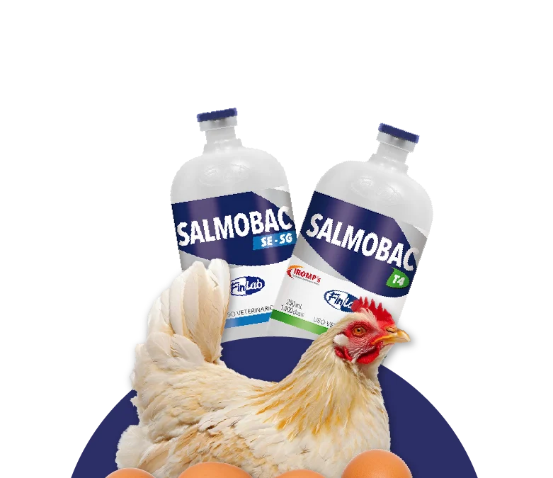 Salmonella, un desafío más allá de la vacuna